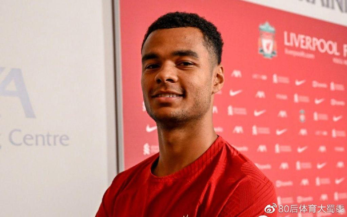 合同条款与 合同条款与